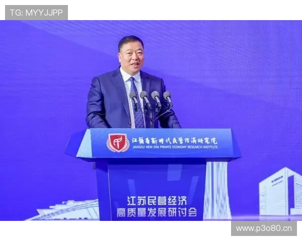 全面解析民营企业家的定义特征及其在新时代中的多维重要关键作用